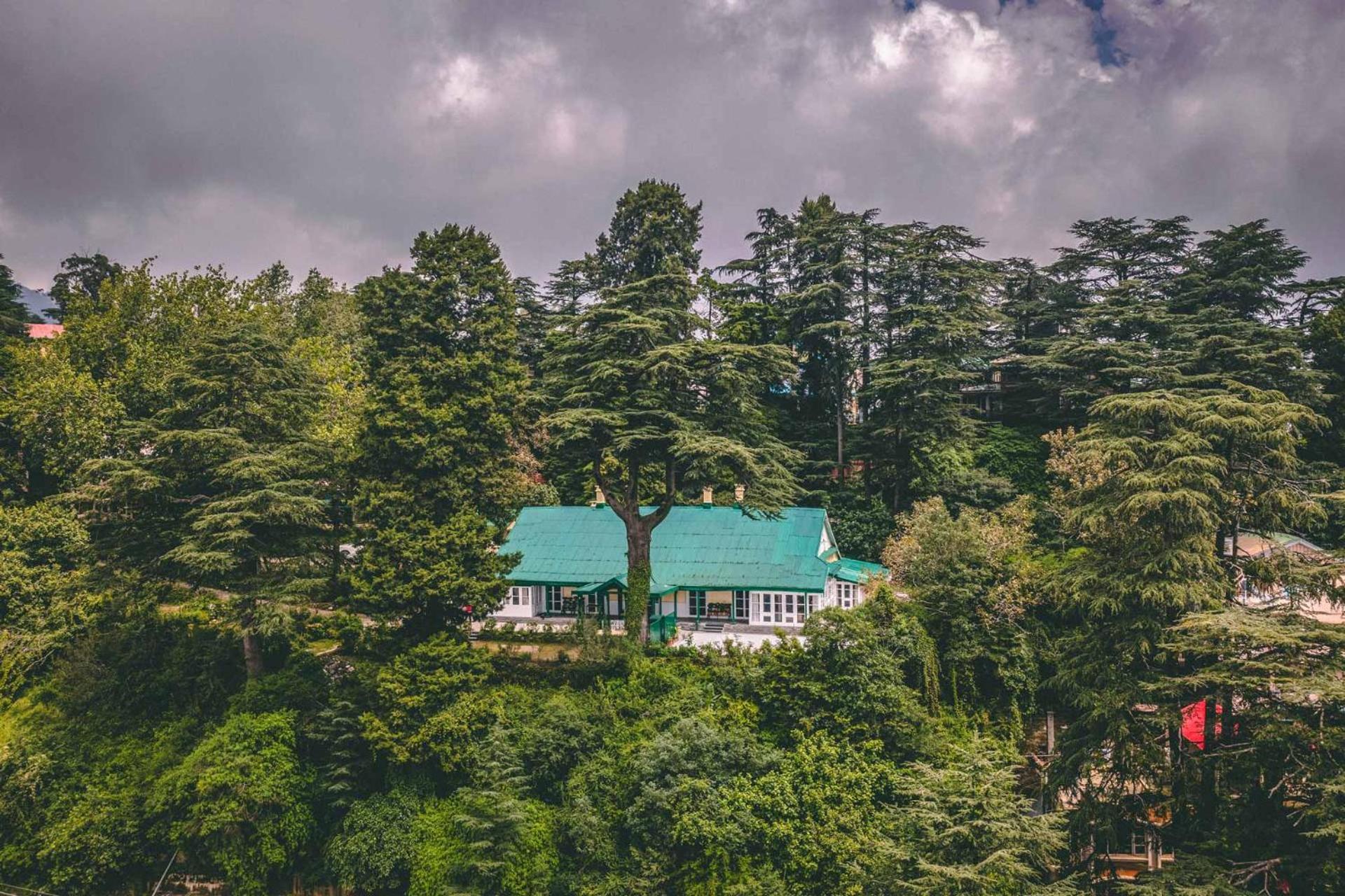 Stayvista At Rose Cottage - Bonfire & Scenic View Шимла Экстерьер фото